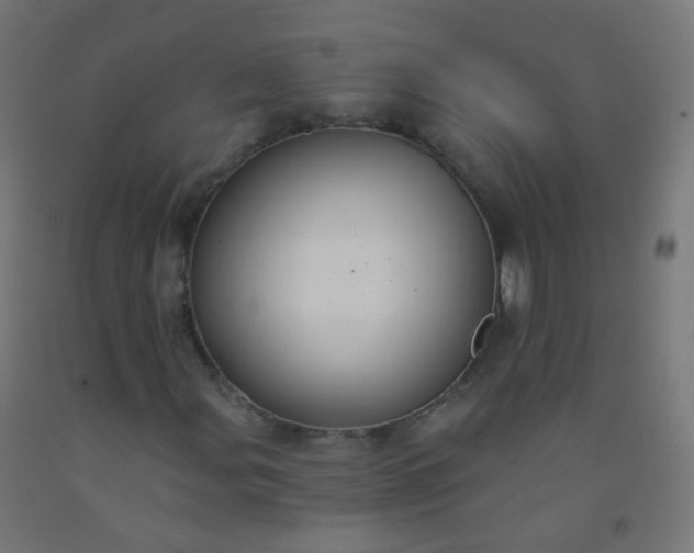 X0000092321107200709281401