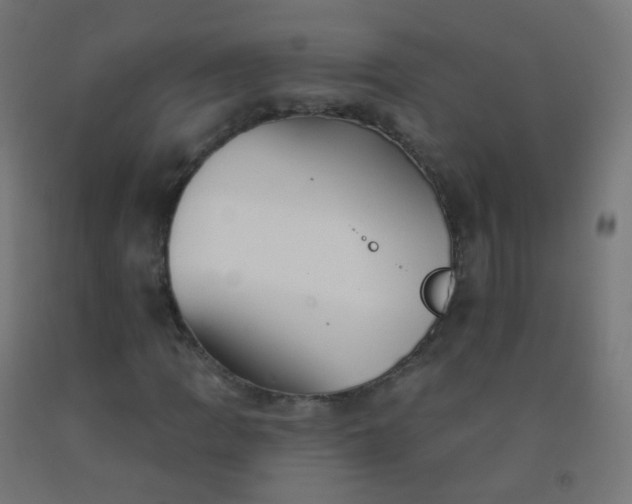 X0000092321109200709281401