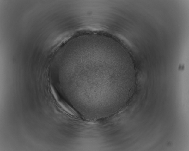 X0000092321110200709281401