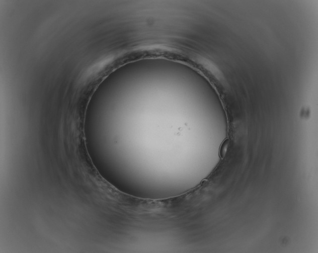 X0000092321111200709281401