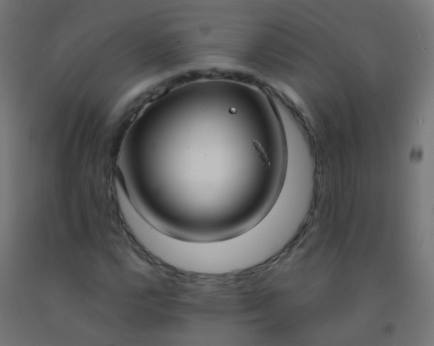 X0000092321112200709281401