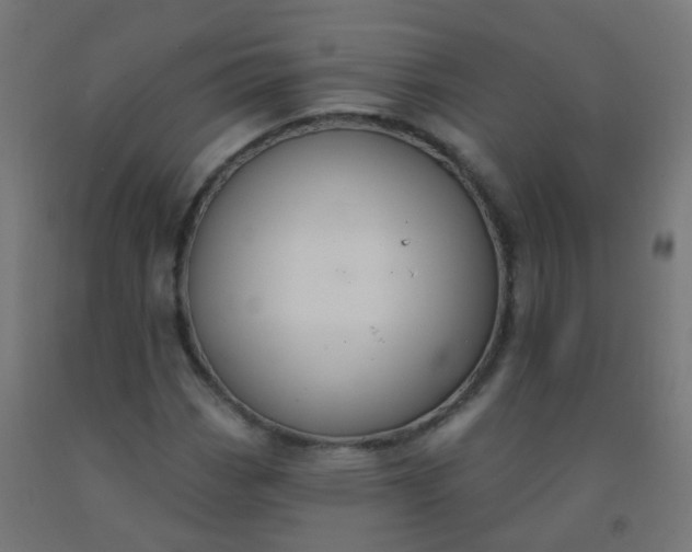 X0000092321113200709281401