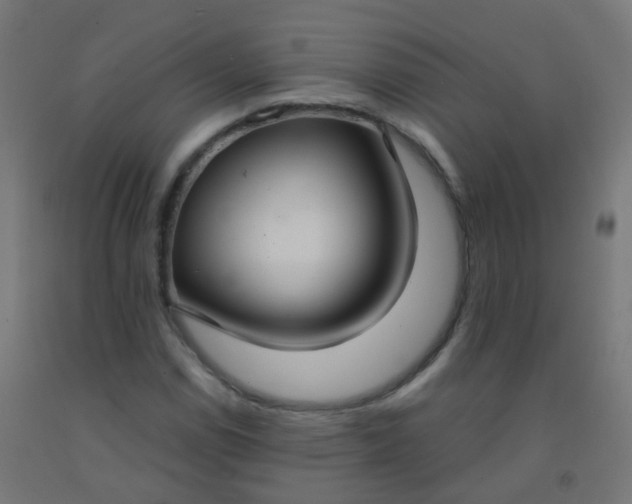 X0000092321114200709281401