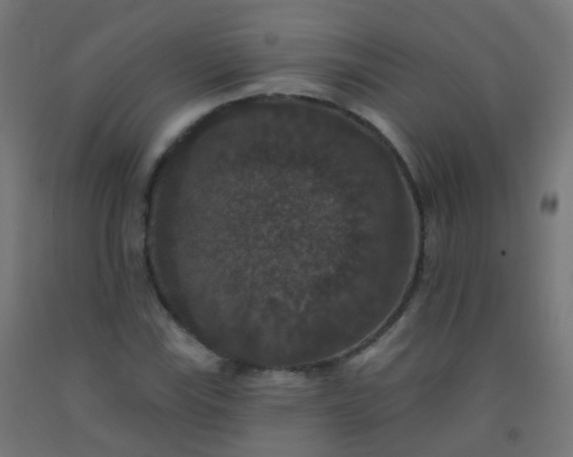 X0000092321115200709281401