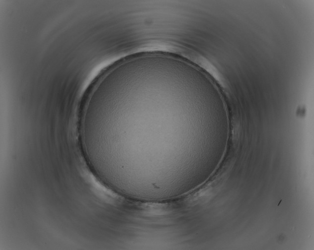 X0000092321116200709281401