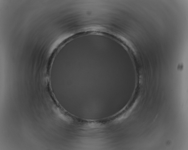 X0000092321117200709281401