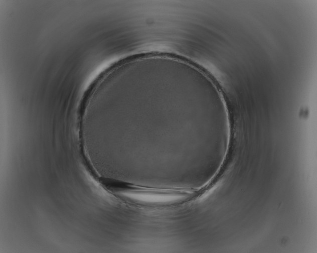 X0000092321118200709281401