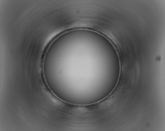 X0000092321119200709281401