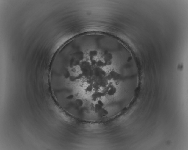 X0000092321121200709281401