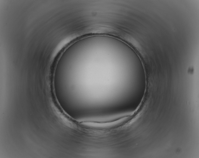 X0000092321122200709281401