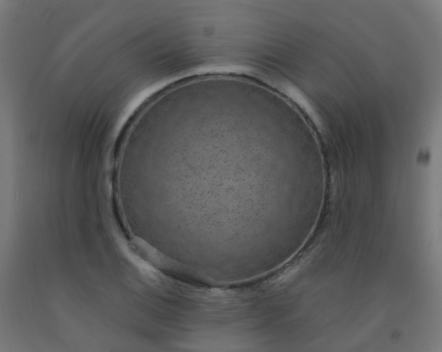 X0000092321124200709281401
