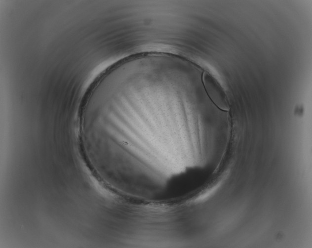 X0000092321125200709281401