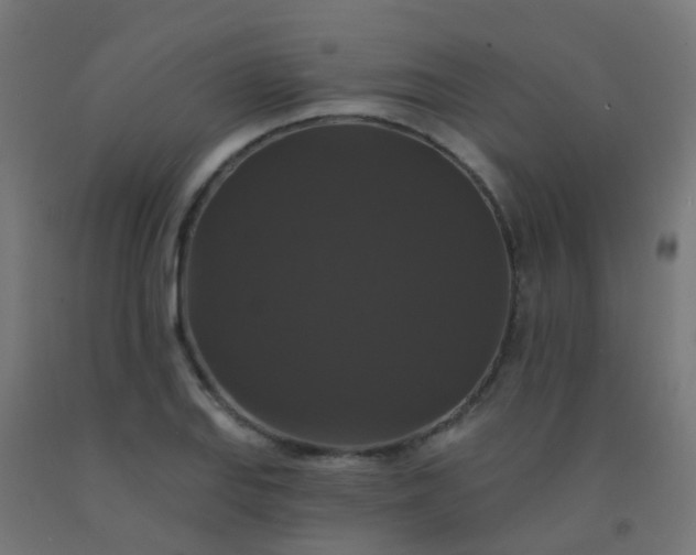 X0000092321127200709281401