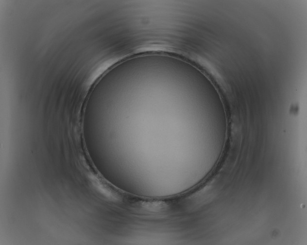 X0000092321129200709281401