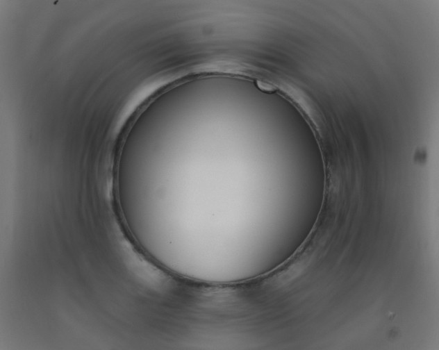 X0000092321131200709281401
