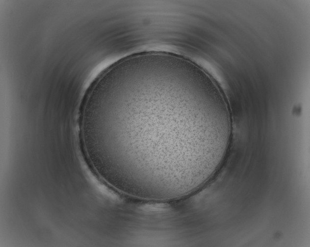X0000092321133200709281401