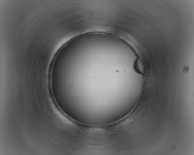 X0000092321135200709281401