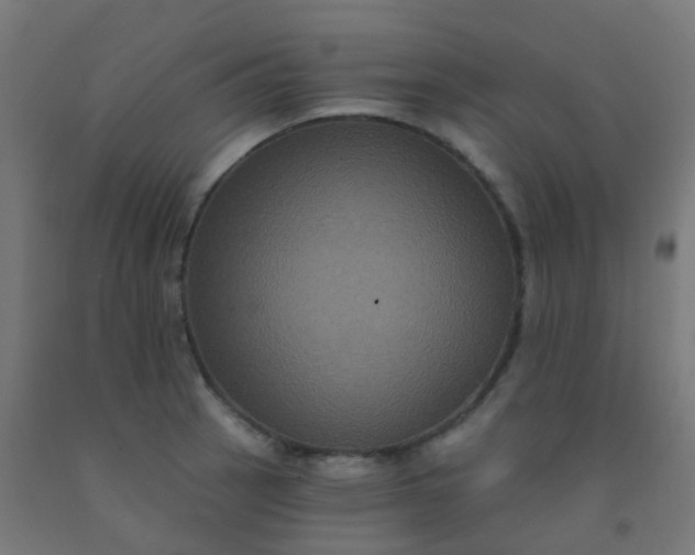 X0000092321137200709281401