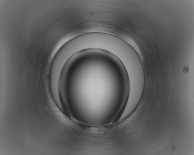 X0000092321138200709281401