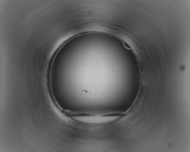 X0000092321139200709281401