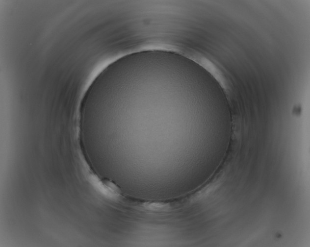 X0000092321140200709281401