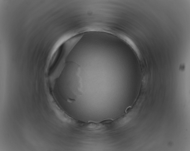 X0000092321146200709281401