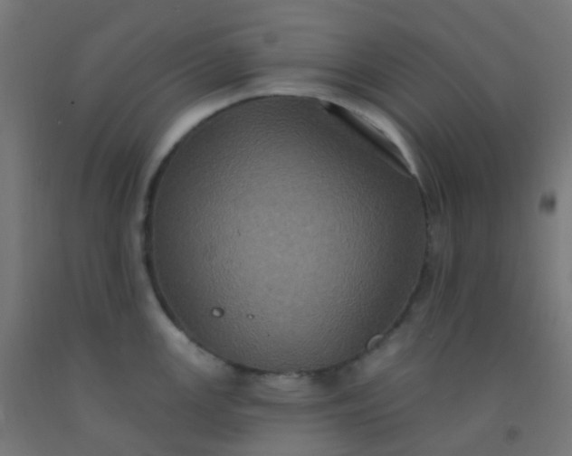 X0000092321147200709281401