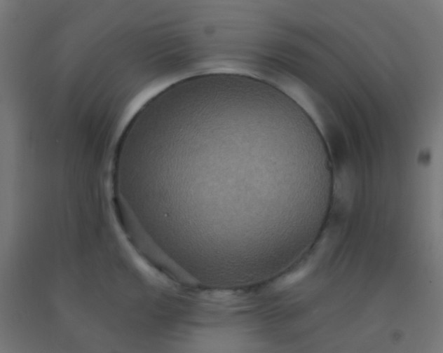 X0000092321149200709281401