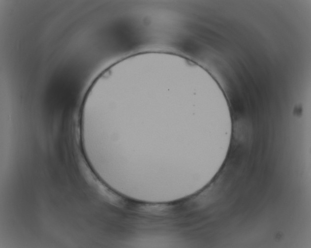 X0000092321150200709281401