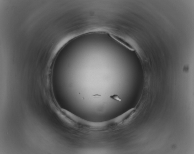 X0000092321151200709281401