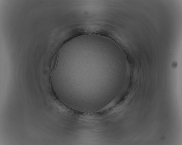 X0000092321153200709281400