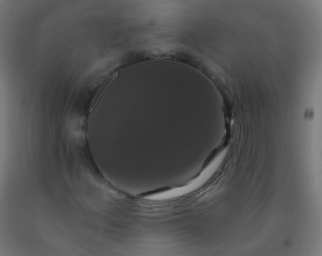X0000092321156200709281400