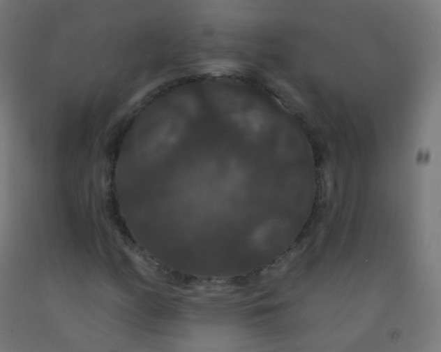 X0000092321158200709281400