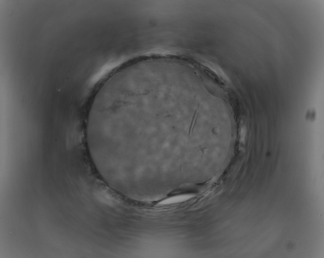 X0000092321160200709281400