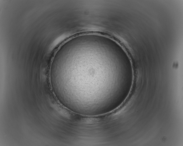 X0000092321163200709281400