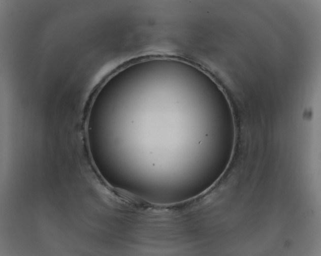 X0000092321168200709281400