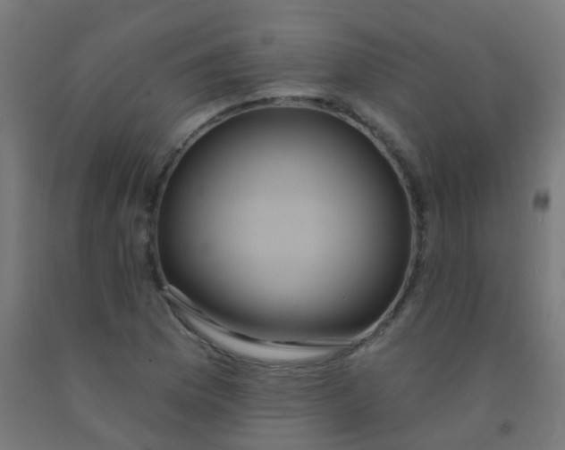 X0000092321169200709281400