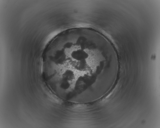 X0000092321171200709281400