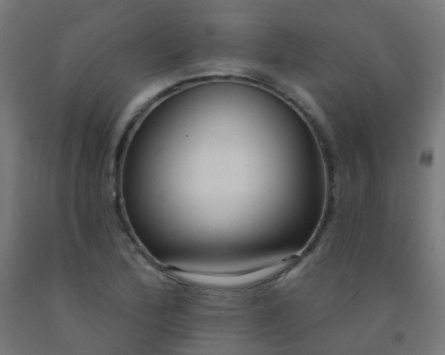 X0000092321172200709281400