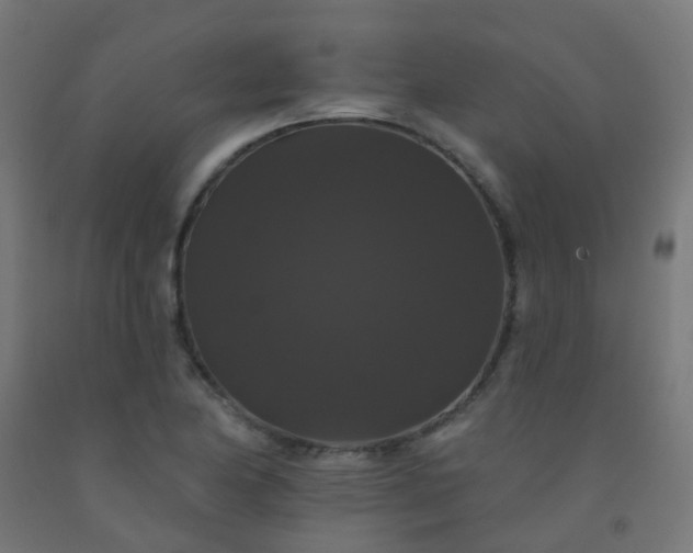 X0000092321174200709281400