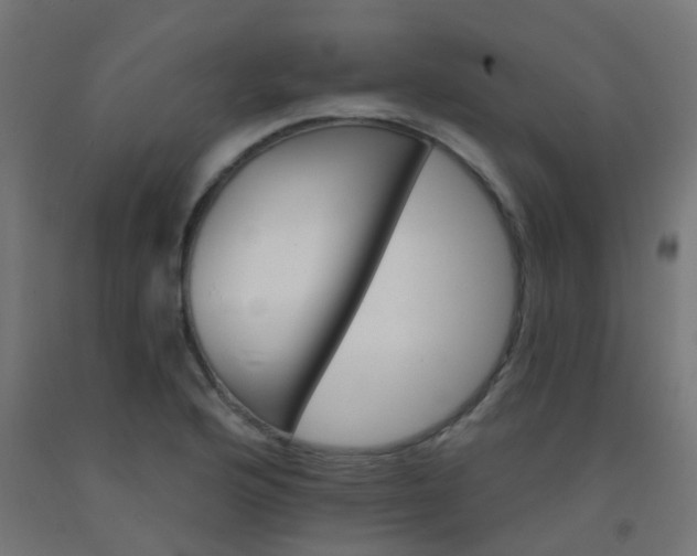 X0000092321176200709281400
