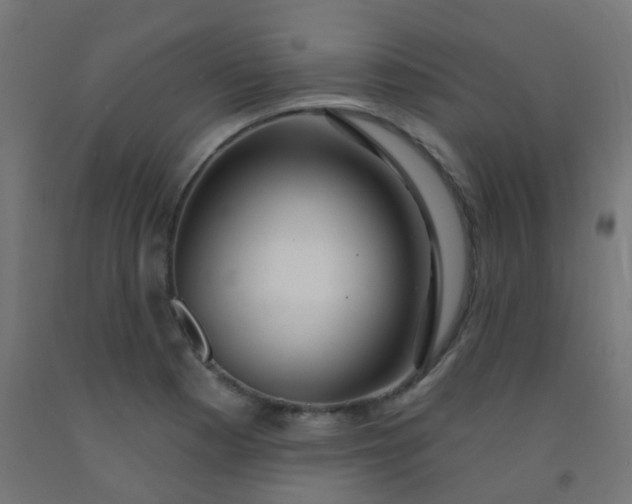 X0000092321177200709281400