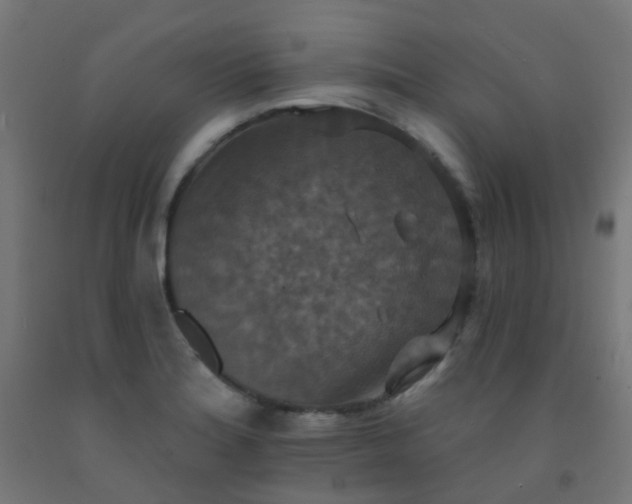 X0000092321180200709281400