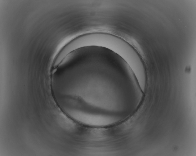 X0000092321184200709281400