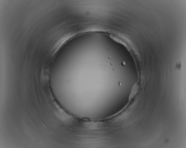 X0000092321185200709281400