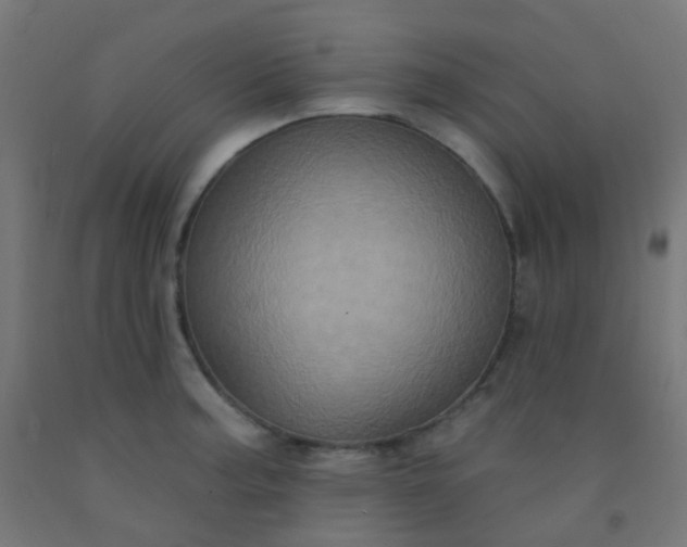 X0000092321187200709281400
