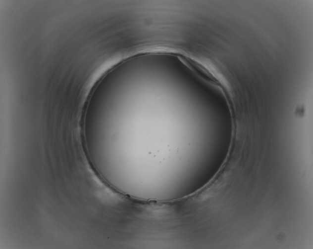 X0000092321189200709281400