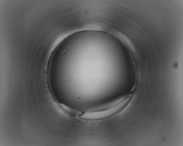 X0000092321192200709281400