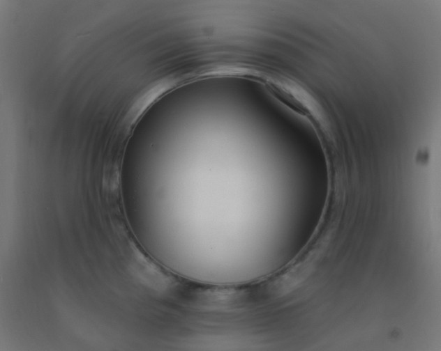 X0000092321193200709281400