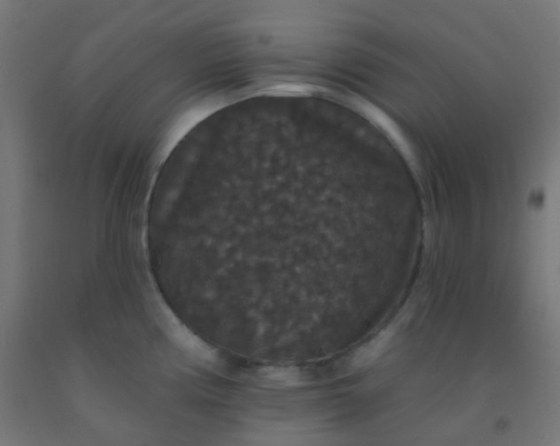 X0000092321194200709281400